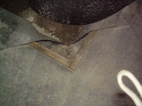 Lyndhurst-Penguin Cleaners (CORF)