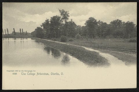 The College Arboretum