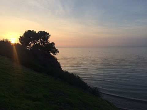 Palos Verdes