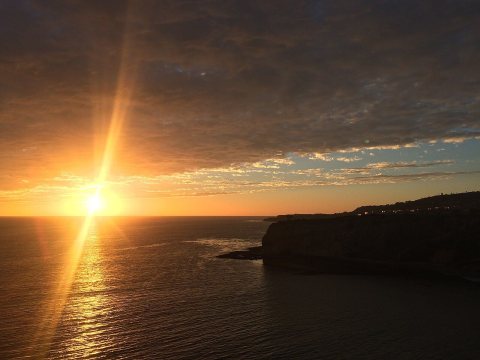 Palos Verdes