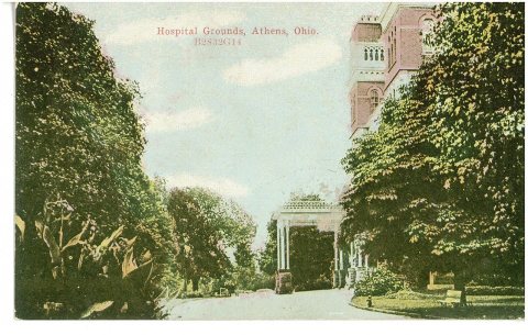 Hospital Grounds