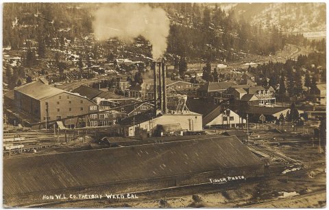 Patton Post Card Co. (Fidler Photo) 16 - W.L. Co. Factory, Weed, Cal