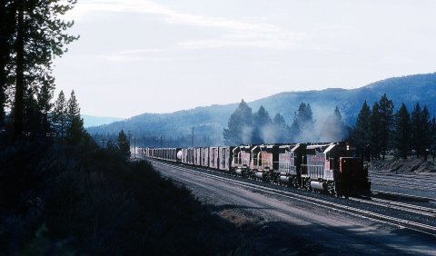 Neat Power Consist, WP and UP - 2 Photos
