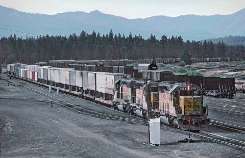A Chase in Feather River Canyon