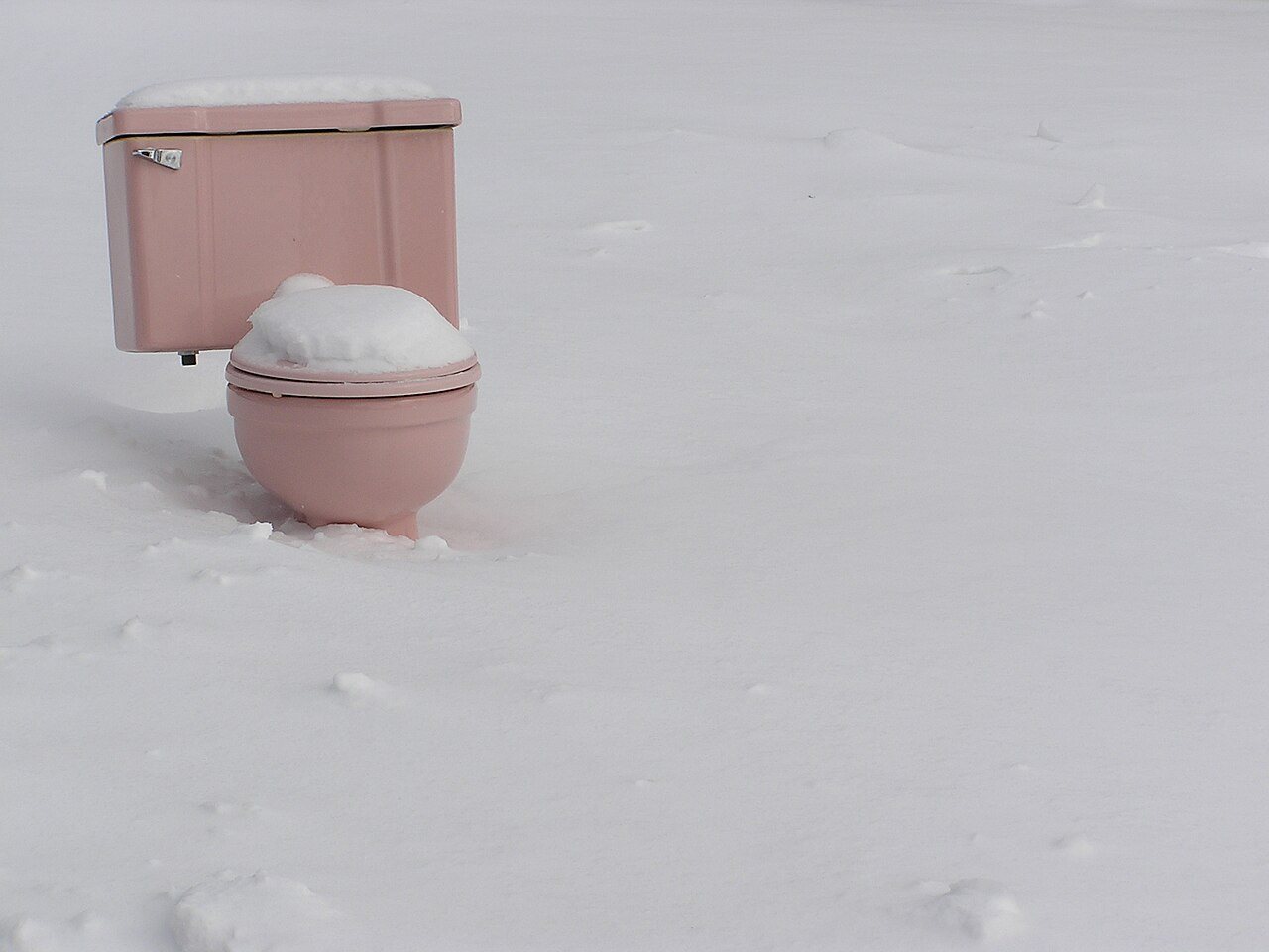 Because nothing says "Winter"... - Flickr - DDFic