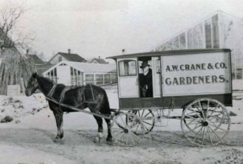 Amos W. Crane Greenhouses, Toledo, Ohio [approximately 1890]