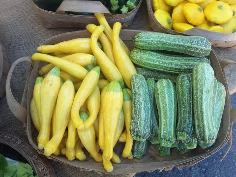 Fortuna Farmers Market Cukes and Zukes