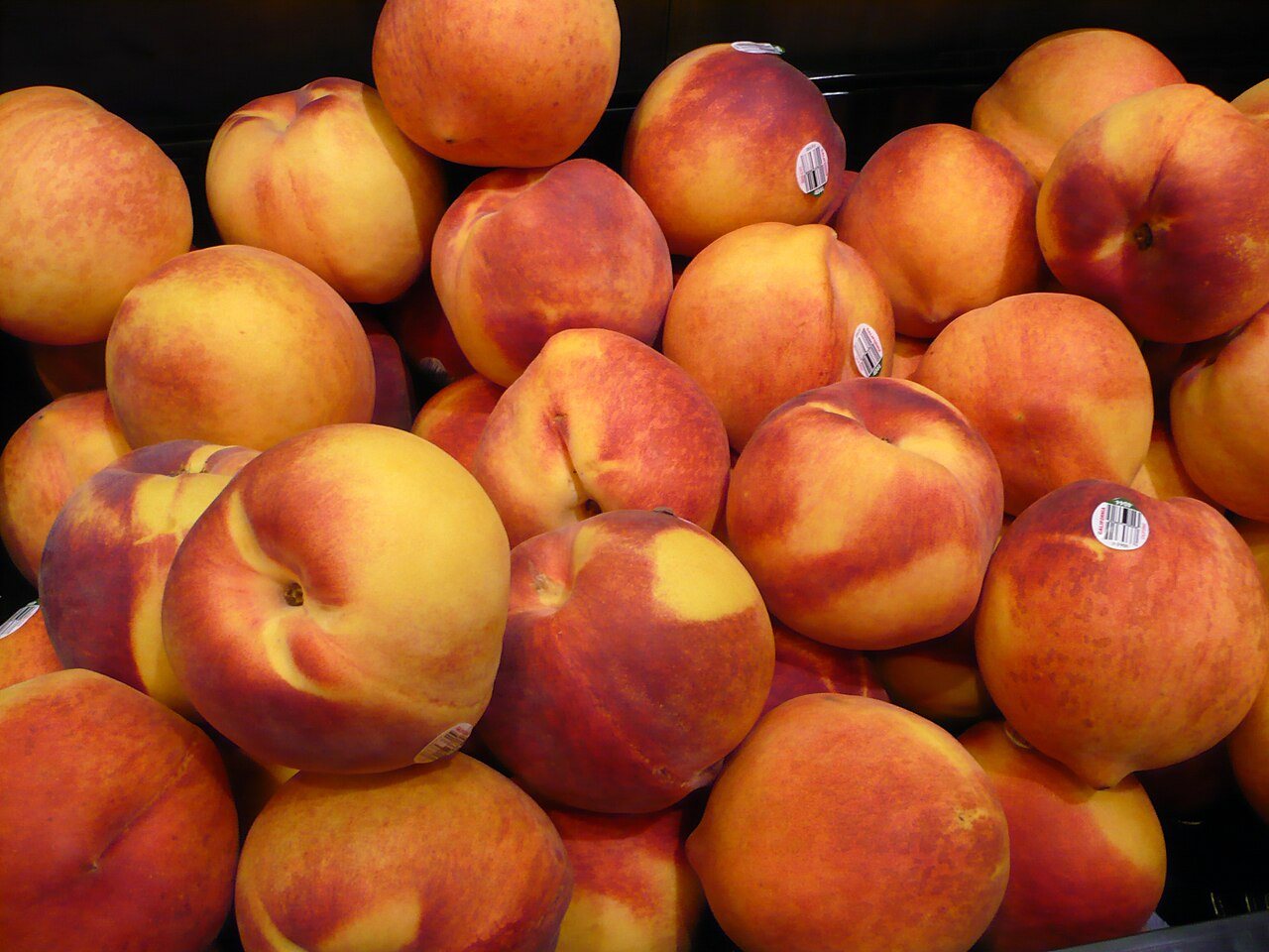 FuzzyPeachesDisplay