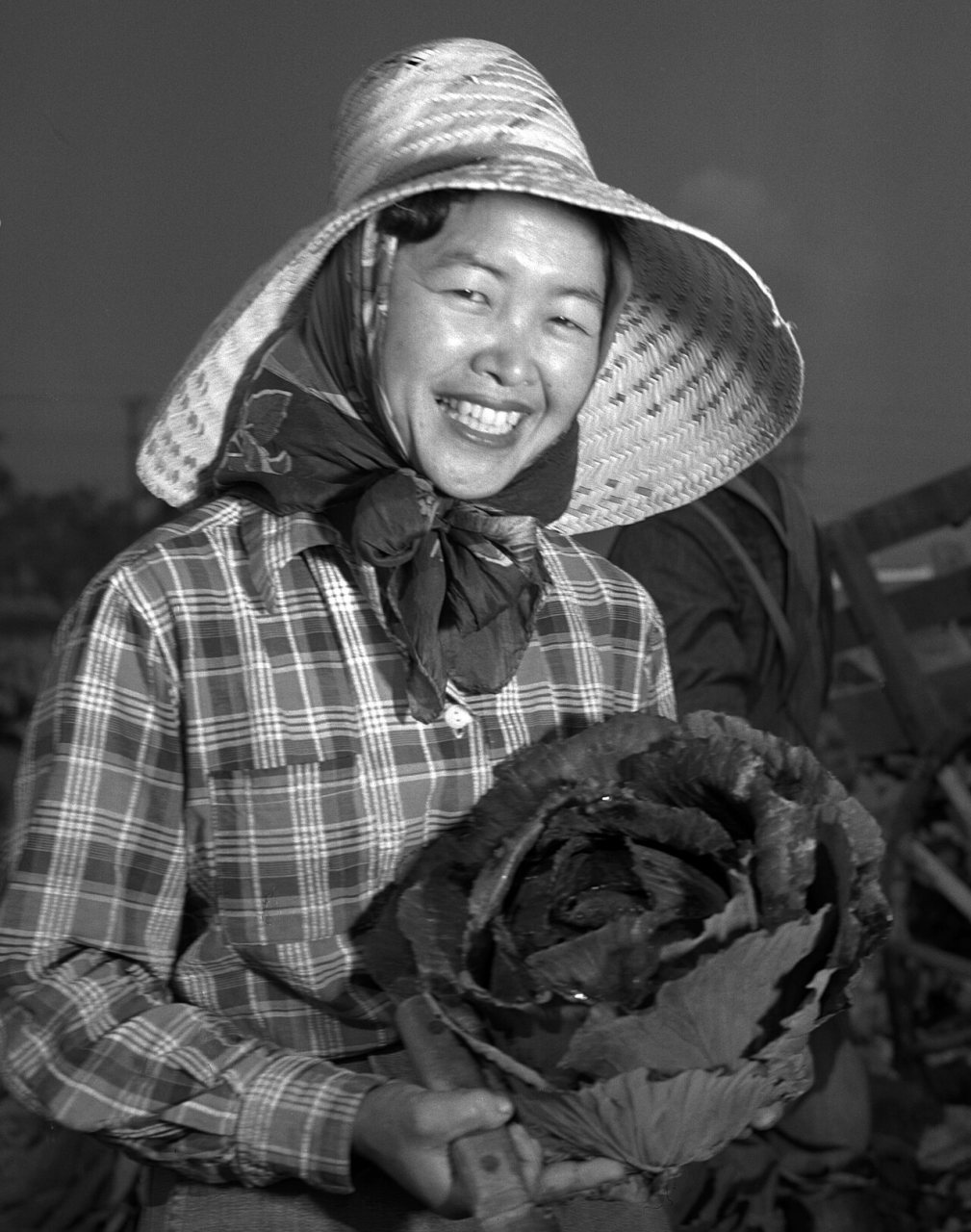 Japanese American woman agricultural worker with Cabbage in Gardena, California on 1951-03-12, from- Cabbage Farmer (cr…