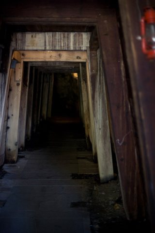 Gold Mine Shaft