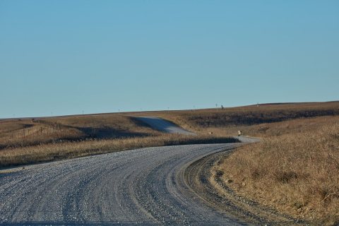Gravel road through the Joseph H. Williams Tallgrass Prairie Preserve, owned and managed by the Nature Conservancy near…