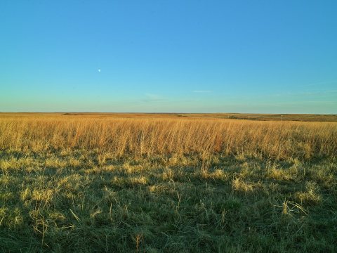 Scene in the Joseph H. Williams Tallgrass Prairie Preserve, owned and managed by the Nature Conservancy near the town o…