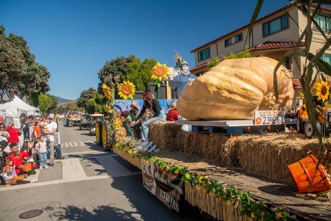 Half Moon Bay Art & Pumpkin Festival Great Pumpkin Parade