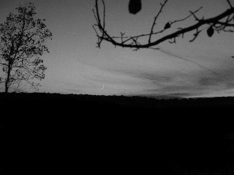 Venus at Twilight