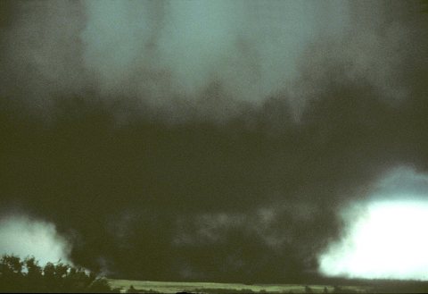 Dop binger tornado