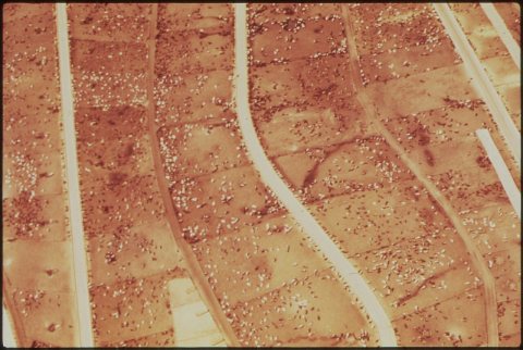 AERIAL OF CATTLE ON HUGE FEEDLOT. (FROM THE DOCUMERICA-1 EXHIBITION. FOR OTHER IMAGES IN THIS ASSIGNMENT, SEE FICHE NUM…