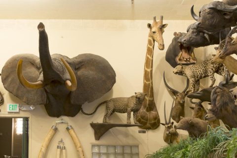 Foster's Bighorn Bar and Restaurant