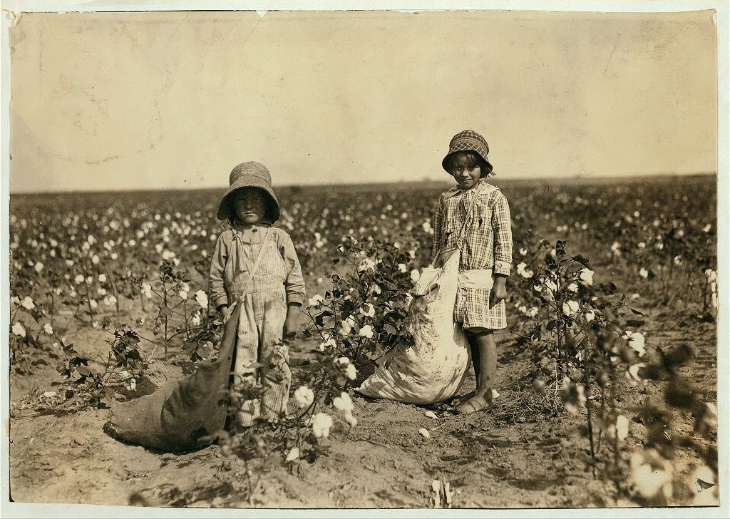 Jewel and Harold Walker, 6 and 5 years old, pick 20 to 25 pounds of cotton a day. Father said: "I promised em a little …