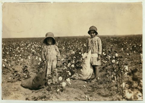 Jewel and Harold Walker, 6 and 5 years old, pick 20 to 25 pounds of cotton a day. Father said: "I promised em a little …