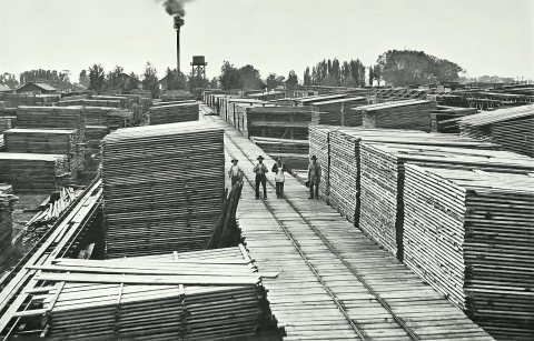 Sanger Sawmill Lumber Drying Yard