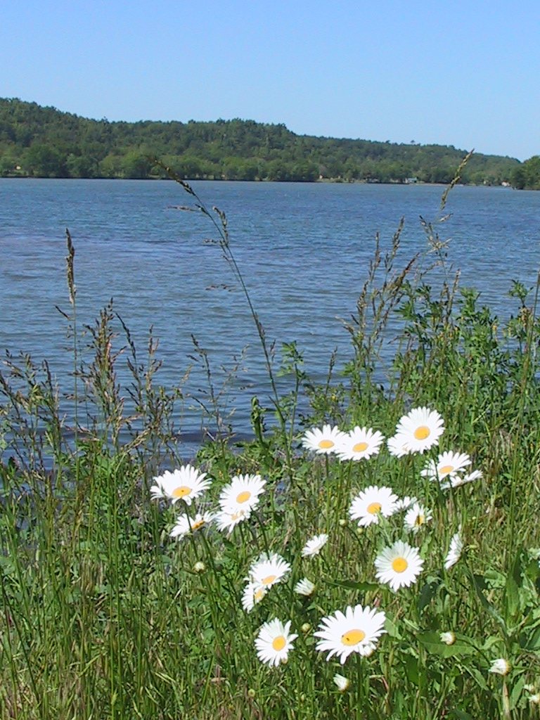 Lake eucha