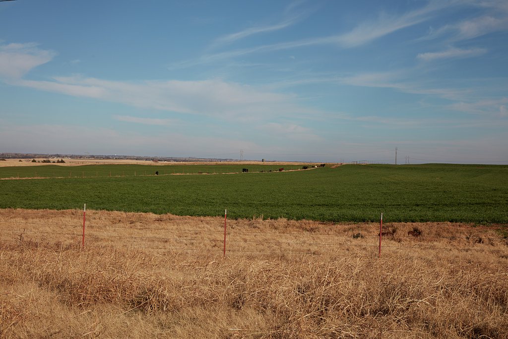 The contrasting colors between prairie grasses and an adjacent soybean field in late fall near Elgin, Oklahoma