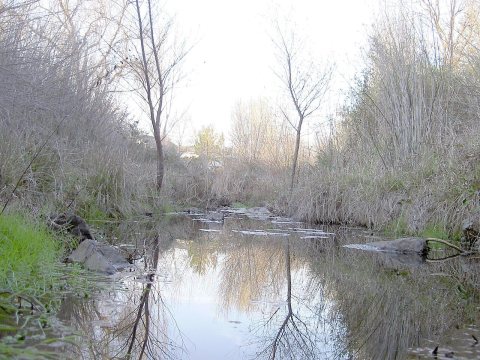 WindsorCreek3235
