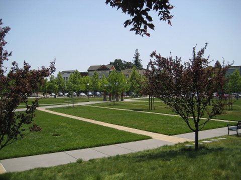 Windsor Town Square