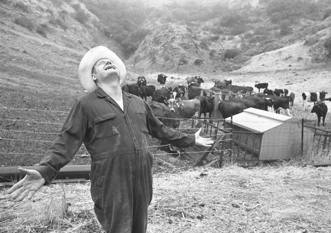 Raleigh Waller, cattle rancher, welcoming rain fall during drought in Covina, Calif., 1976 (cropped)