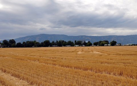 Imbler, Oregon, fields