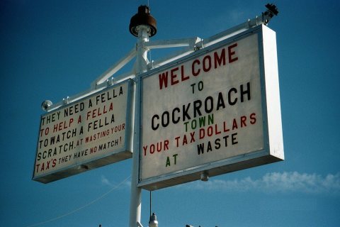 Welcome to Cockroach Town