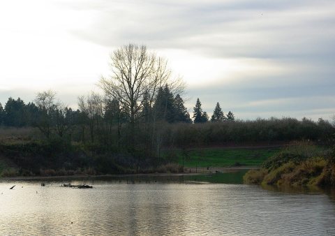 Mission Creek at St. Paul - Oregon