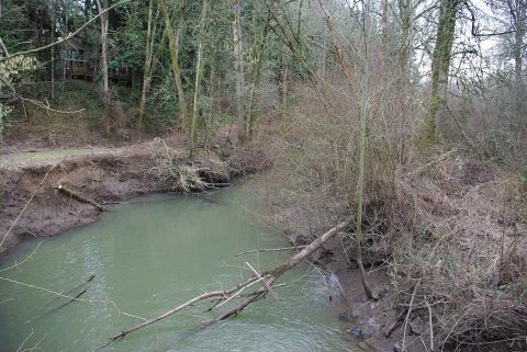 Fanno Creek in