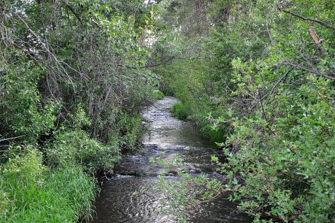 Fifteenmile Creek in