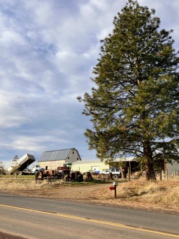 A farm in Dufur, Oregon 01