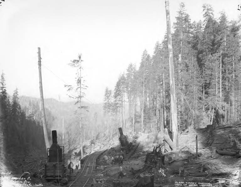 Open loading donkey engines and railroad track, Powers Lumber Company, Powers, ca. 1907-1920's