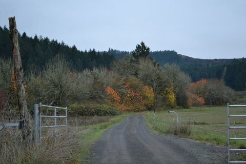 Jesse Applegate homesite, demolished
