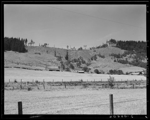 Untitled photo, possibly related to: Grain farm. Note how timber has been cut from the ridge. Oregon, near Yoncalla, Do…