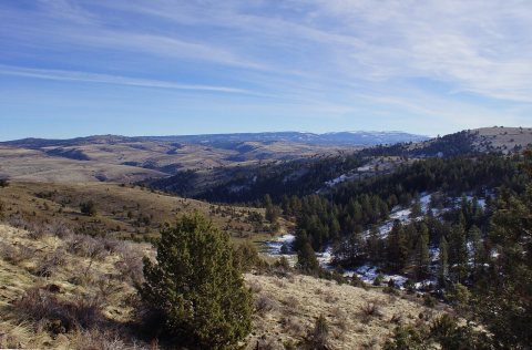 2015, View from US 395 Near Canyon City, OR