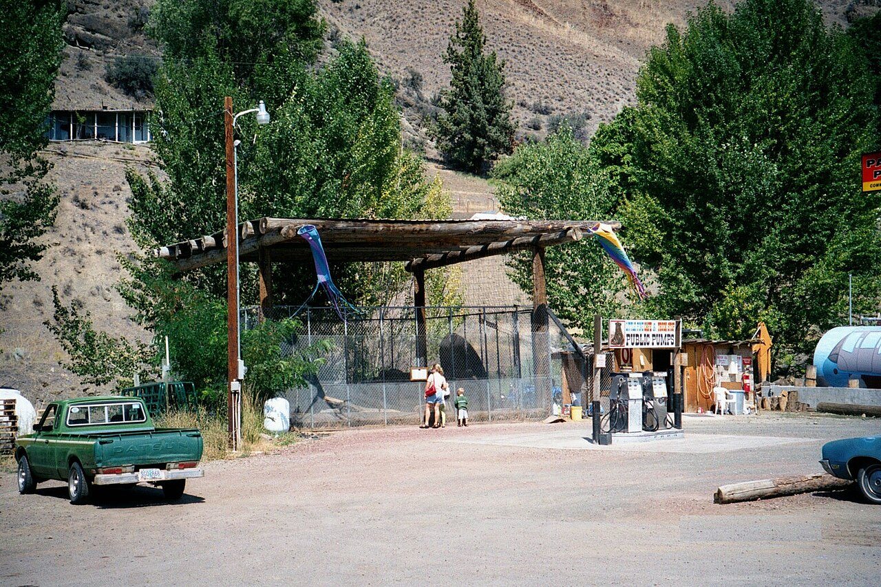 Bear cage in