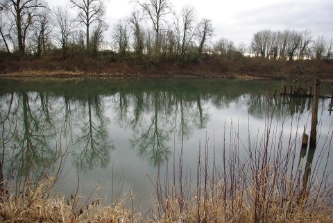 Willamette River at Chehalem Paddle Launch