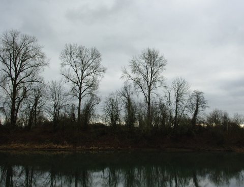 Ash Island from Chehalem Paddle Launch