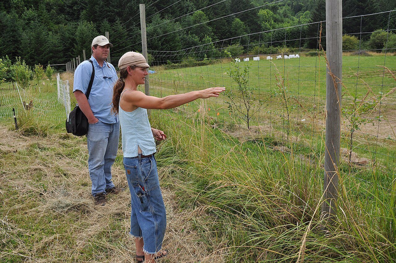 Goodfoot Farm, Beth Hoinacki