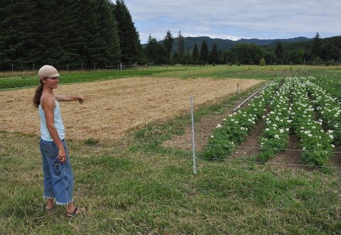 Goodfoot Farm, Beth Hoinacki