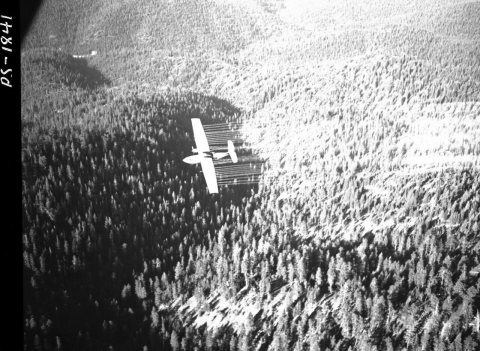 1958. PBY spraying DDT. Spruce budworm control project. Sumpter Valley, Oregon