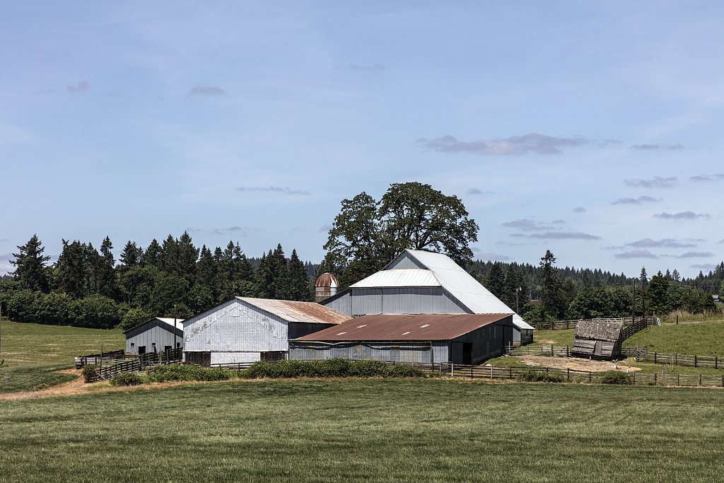 Large, complex farmstead near Cornelius, Oregon