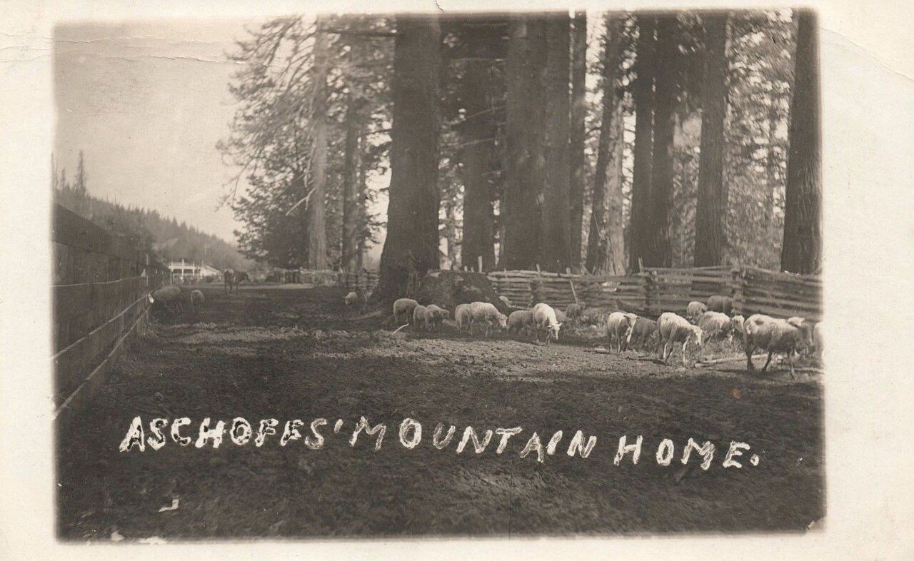 Adolph Aschoff Mountain Home (Sandy, Oregon) 1908