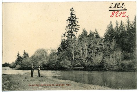 08212-Seaside, Ore.-1906-Beautiful Necanicum-Brück & Sohn Kunstverlag