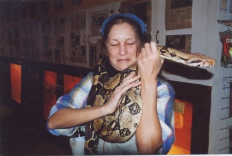 Hartsreptileworldsnake