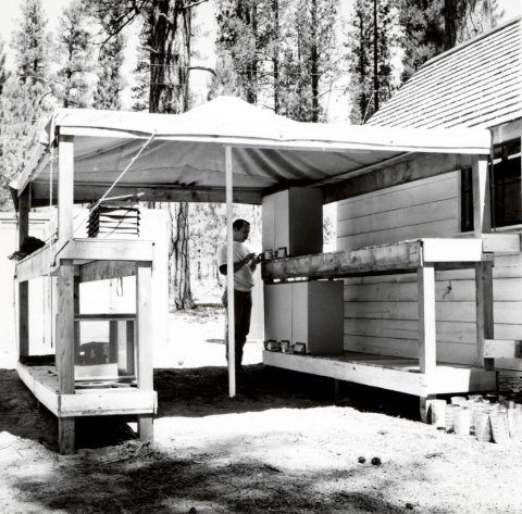 1963. Charles Sartwell and the rearing setup for Ips oregonis studies at Pringle Falls Experimental Forest. La Pine, Or…